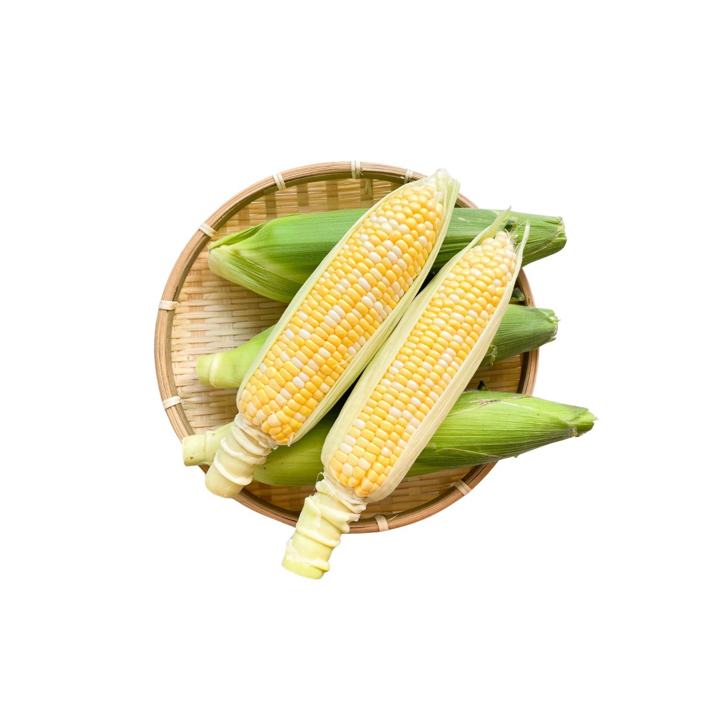 【予約商品】北海道産 ミルキースイーツ 10本セット【期間限定・送料無料】