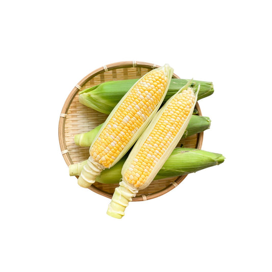 【予約商品】北海道産 ミルキースイーツ 10本セット【期間限定・送料無料】