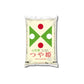 【令和7年産】山形県産 つや姫 5kg