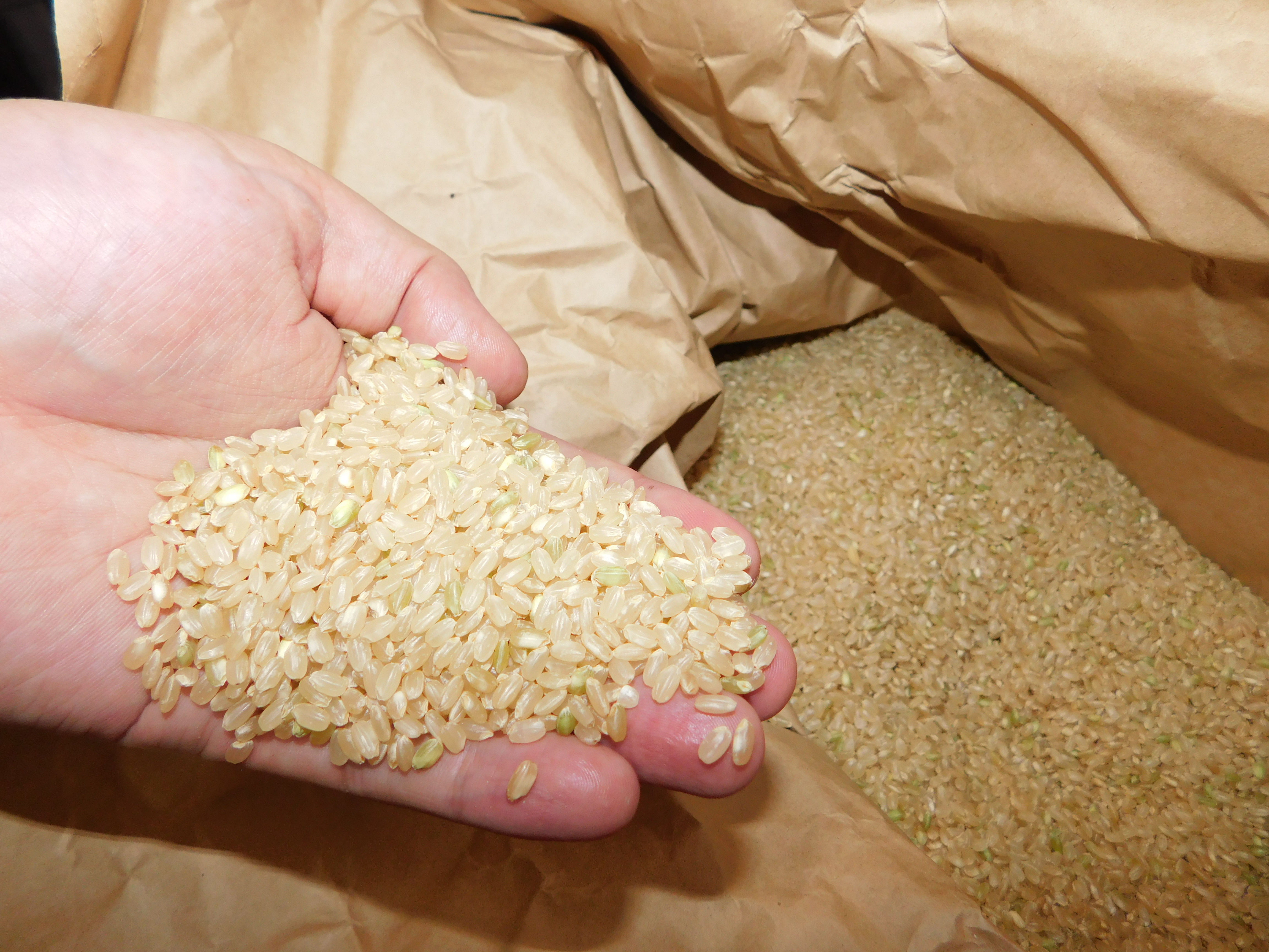 平成30年度北海道産ななつぼし　玄米